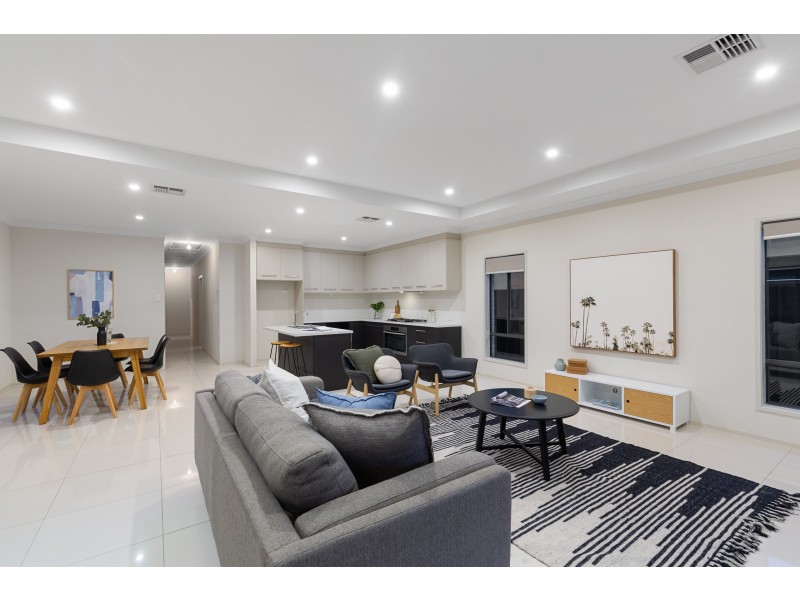18 Daly Street, Kurralta Park SA 5037