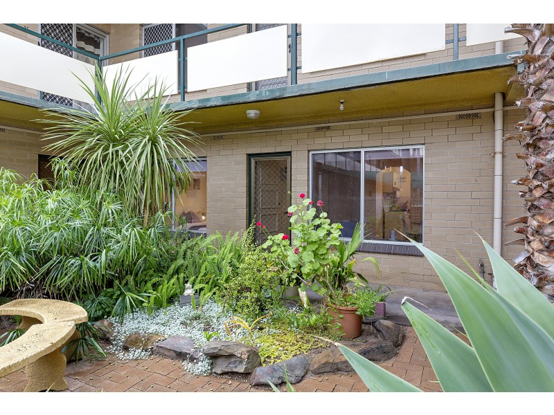 1/127 Anzac Highway, Kurralta Park SA 5037