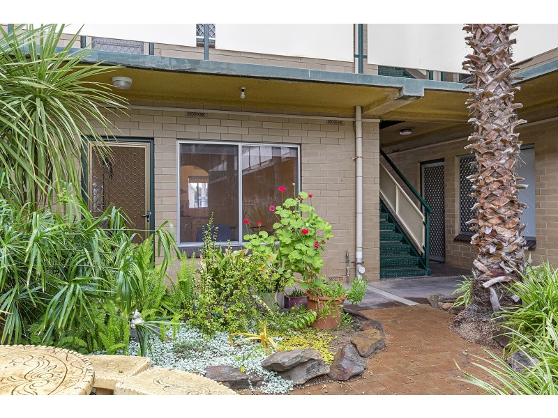 1/127 Anzac Highway, Kurralta Park SA 5037