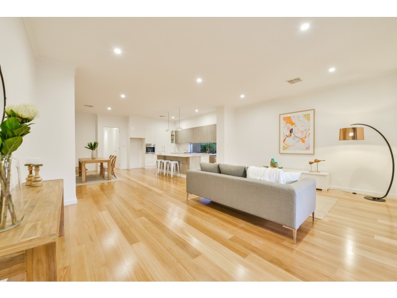14A Swinburne Avenue, Plympton Park SA 5038