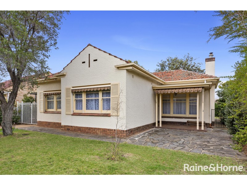 19 Netherby Avenue, Plympton SA 5038