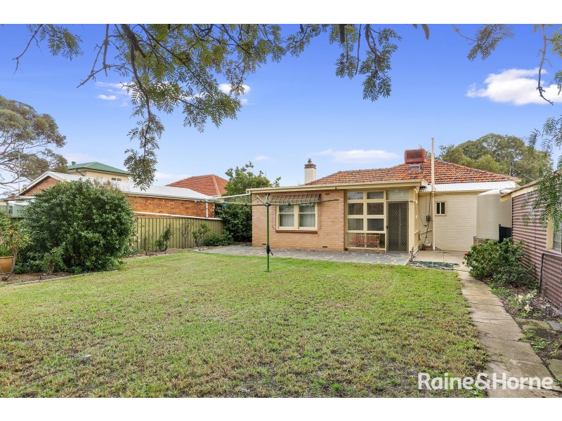 19 Netherby Avenue, Plympton SA 5038