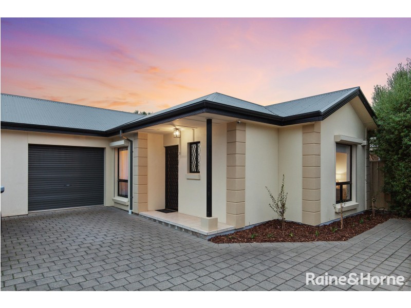 3/39 Tennyson Street, Kurralta Park SA 5037