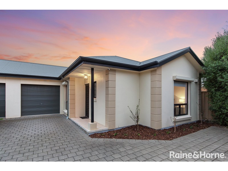 3/39 Tennyson Street, Kurralta Park SA 5037