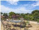 6/22 Daly Street, Kurralta Park SA 5037