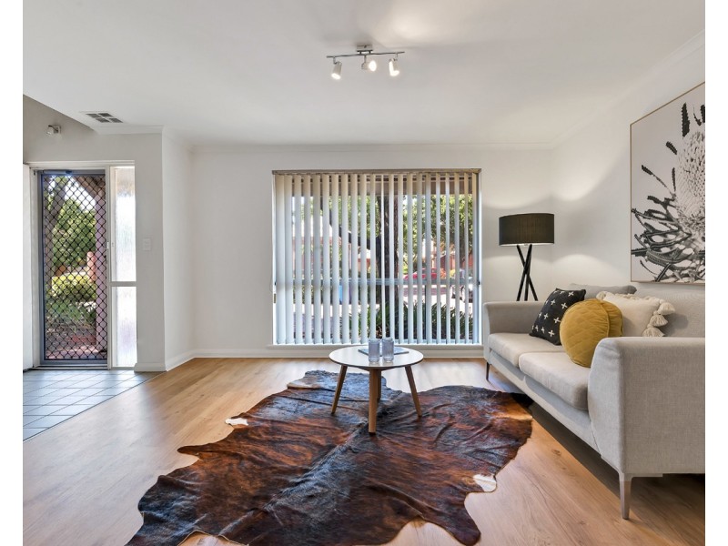 2/3 Boothby Court, Unley SA 5061