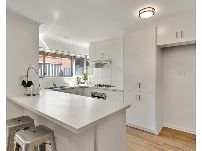 2/3 Boothby Court, Unley SA 5061
