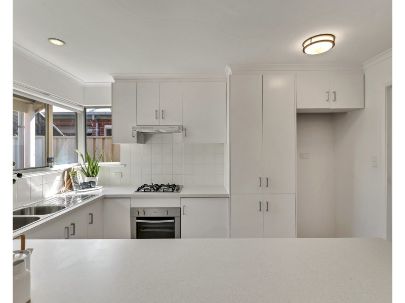 2/3 Boothby Court, Unley SA 5061