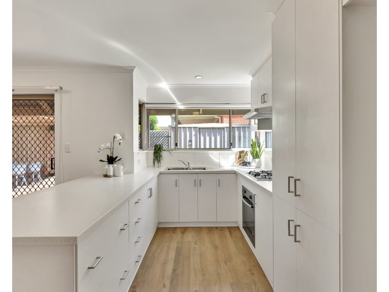 2/3 Boothby Court, Unley SA 5061