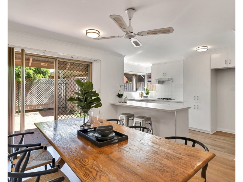 2/3 Boothby Court, Unley SA 5061