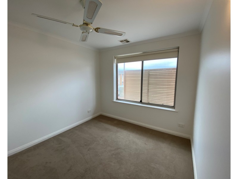 2/3 Boothby Court, Unley SA 5061