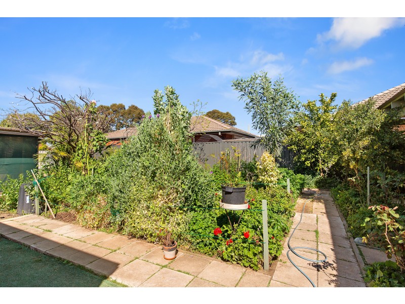 39 Winifred Avenue, Glandore SA 5037