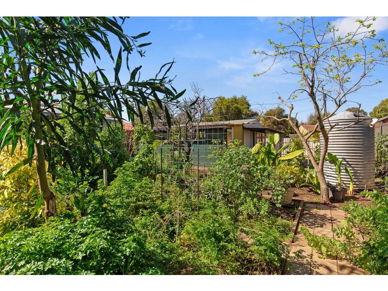 39 Winifred Avenue, Glandore SA 5037