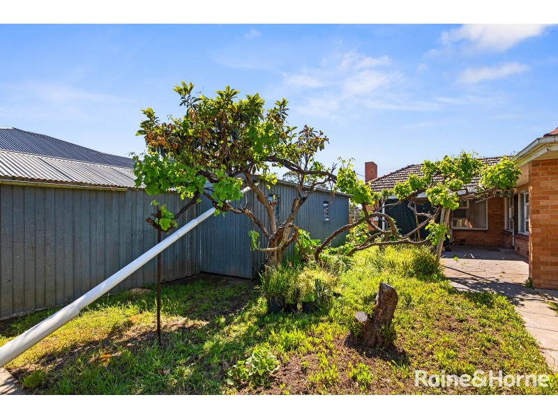 12 Torrens Avenue, Lockleys SA 5032