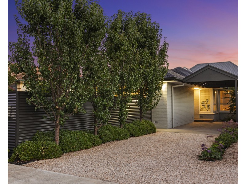 38 Broughton Avenue, Kurralta Park SA 5037