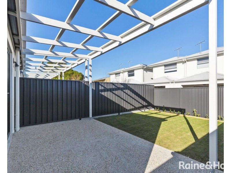 14b Basnett Street, Kurralta Park SA 5037