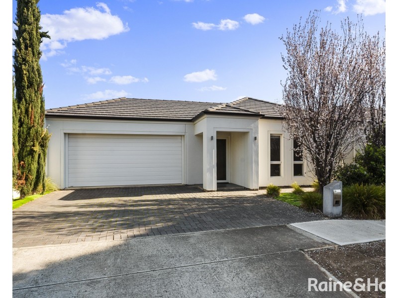 58 Tennyson Street, Kurralta Park SA 5037