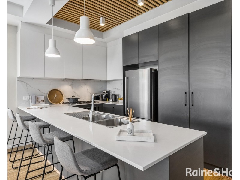 14b Basnett Street, Kurralta Park SA 5037