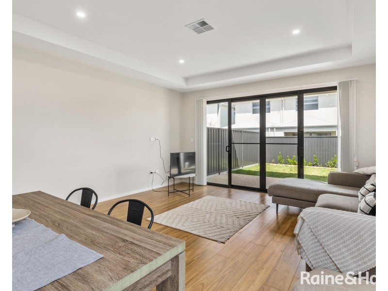 14b Basnett Street, Kurralta Park SA 5037