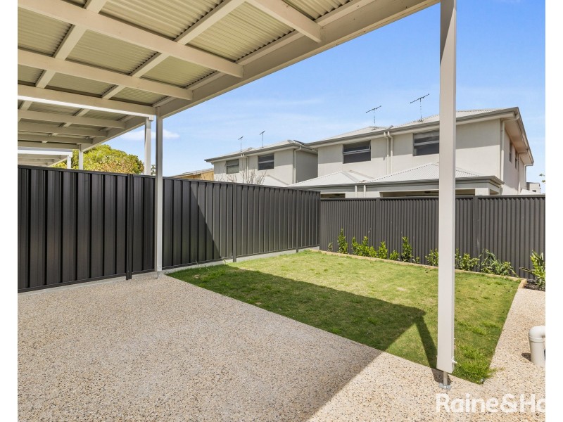 14b Basnett Street, Kurralta Park SA 5037