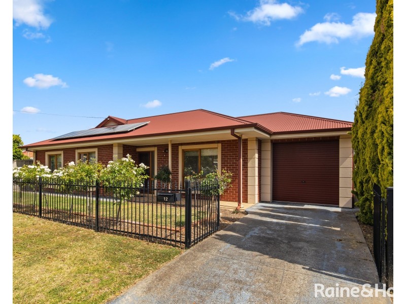 12 Lilac Place, Netley SA 5037