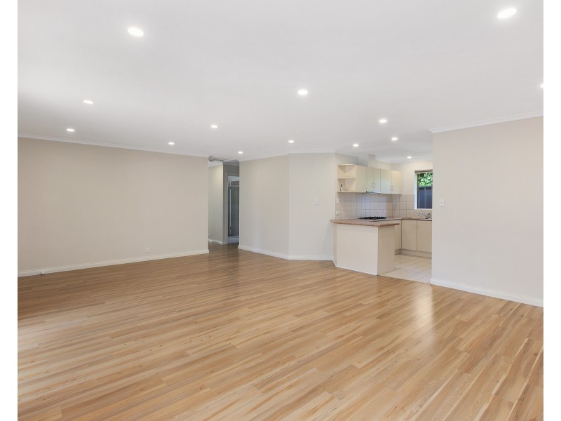 35C Mortimer Street, Kurralta Park SA 5037