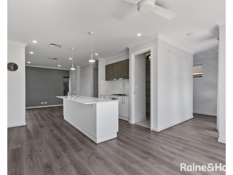 34 Castle Street, Edwardstown SA 5039