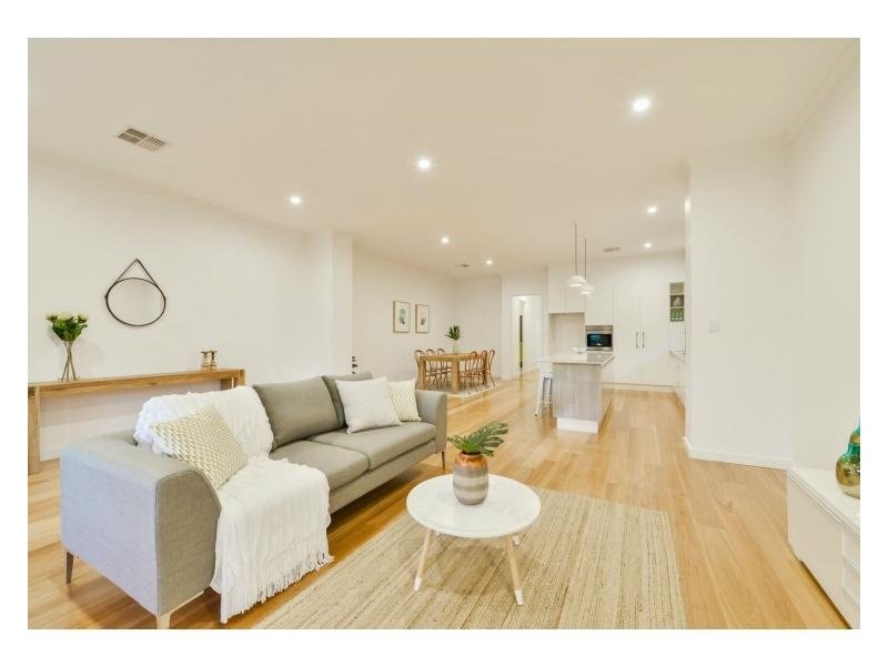 14a Swinburne Avenue, Plympton Park SA 5038