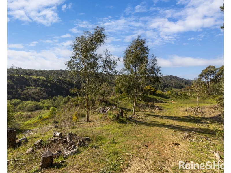 Lot 1 (64) Wooly Butt Road, Ironbank SA 5153