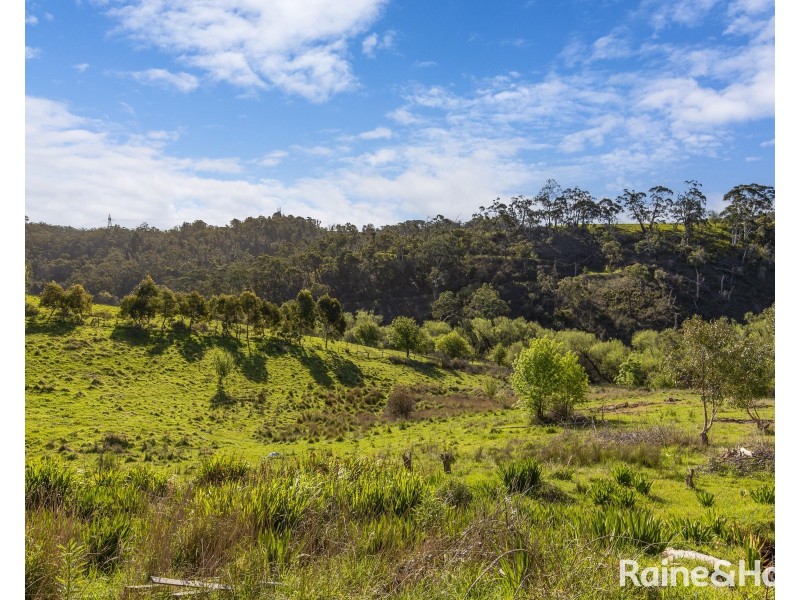 Lot 1 (64) Wooly Butt Road, Ironbank SA 5153