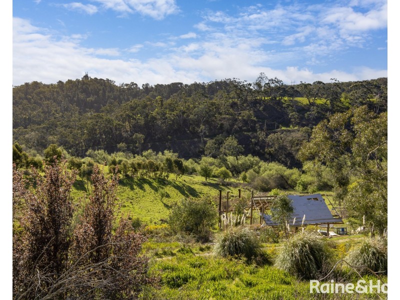 Lot 1 (64) Wooly Butt Road, Ironbank SA 5153