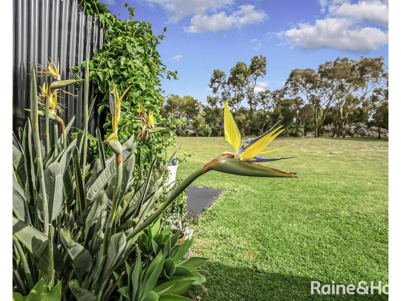 N4/4 Madsen Street, Hindmarsh Island SA 5214