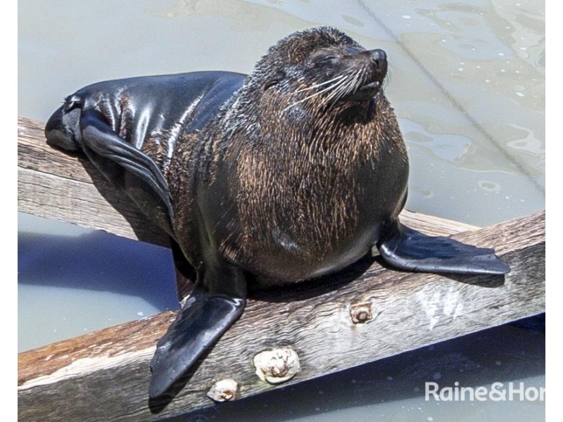 N4/4 Madsen Street, Hindmarsh Island SA 5214