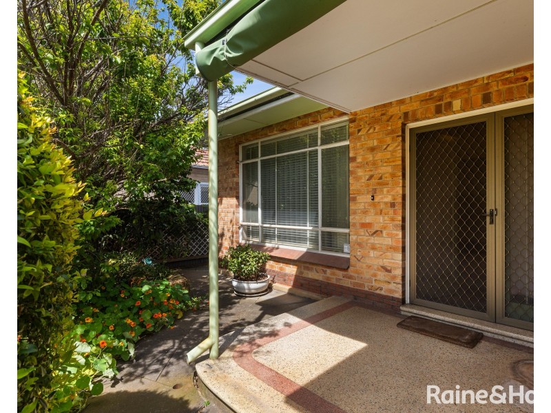 14 Wood Street, Kurralta Park SA 5037