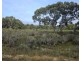 Lot 636 Thomas Road, Avenue Range SA 5273