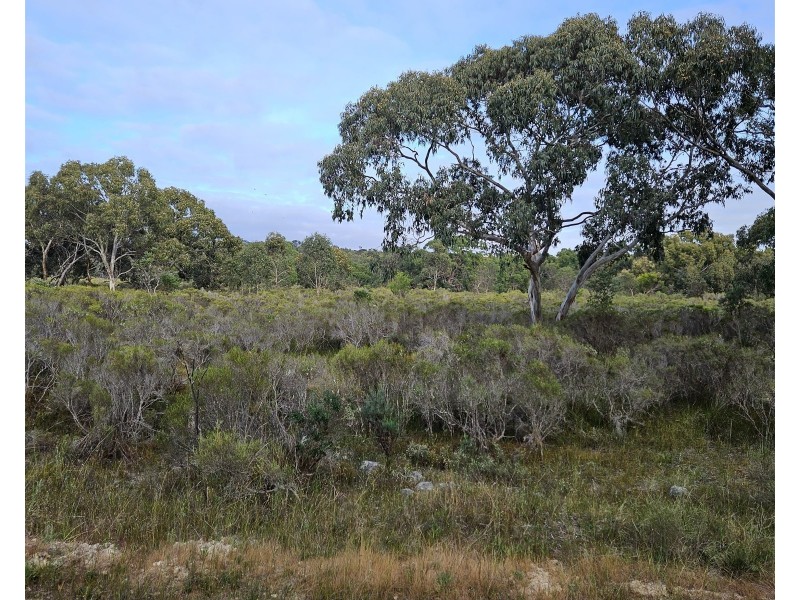 Lot 636 Thomas Road, Avenue Range SA 5273