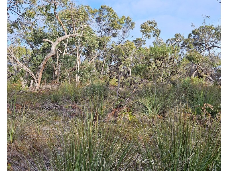 Lot 636 Thomas Road, Avenue Range SA 5273
