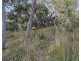 Lot 636 Thomas Road, Avenue Range SA 5273