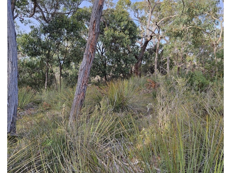 Lot 636 Thomas Road, Avenue Range SA 5273