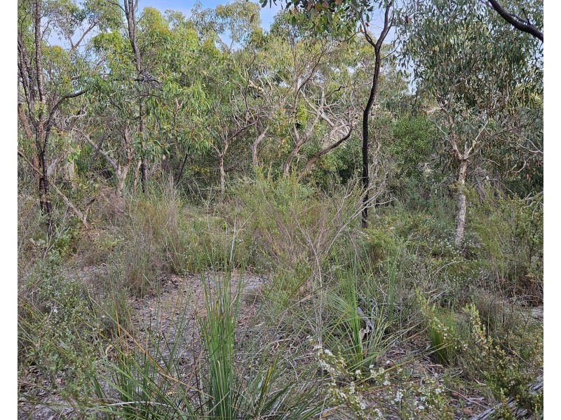 Lot 636 Thomas Road, Avenue Range SA 5273