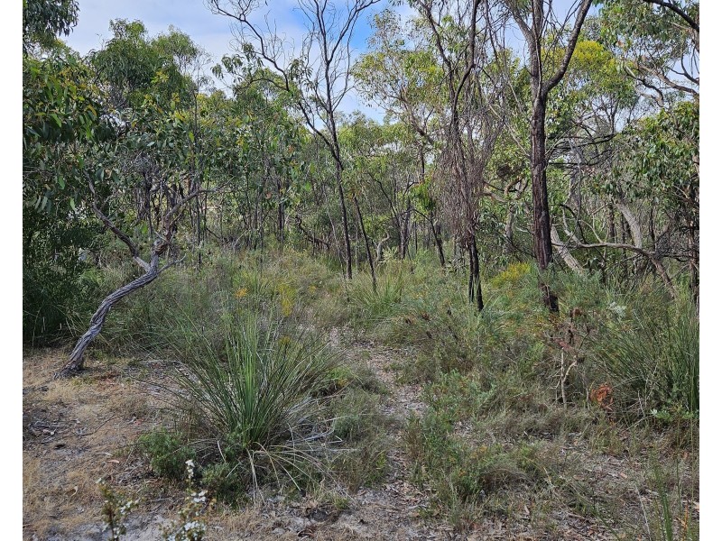 Lot 636 Thomas Road, Avenue Range SA 5273