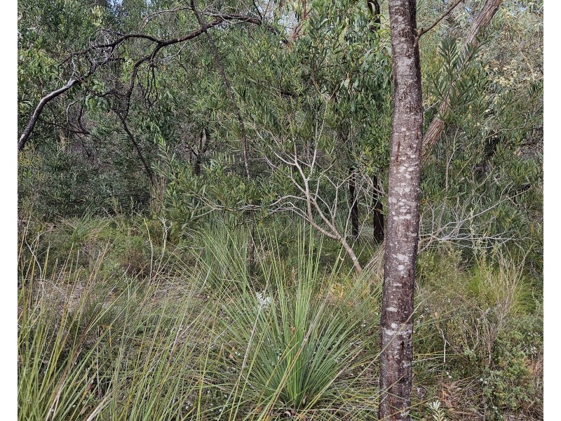 Lot 636 Thomas Road, Avenue Range SA 5273