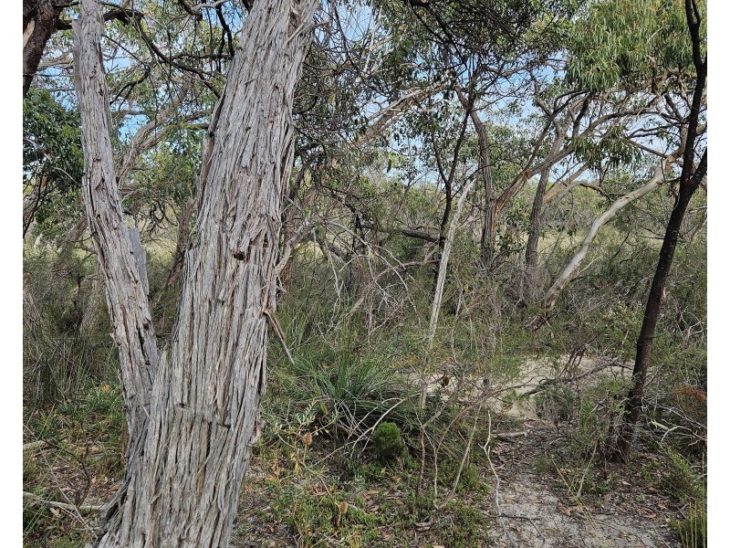 Lot 636 Thomas Road, Avenue Range SA 5273