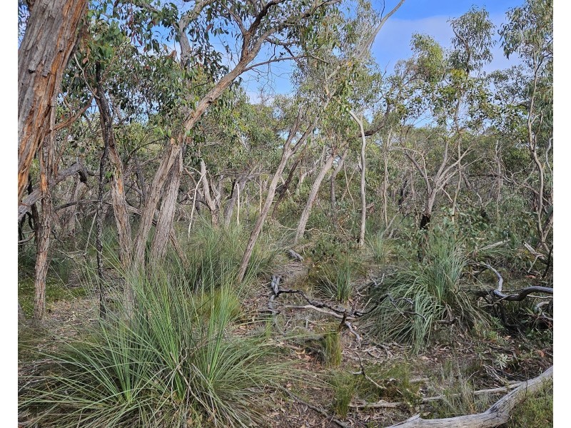 Lot 636 Thomas Road, Avenue Range SA 5273