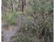 Lot 636 Thomas Road, Avenue Range SA 5273