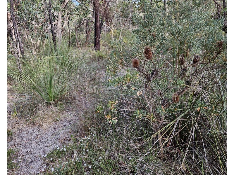 Lot 636 Thomas Road, Avenue Range SA 5273