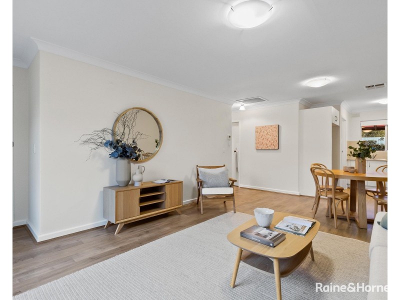 6/1 Elms Avenue, Richmond SA 5033