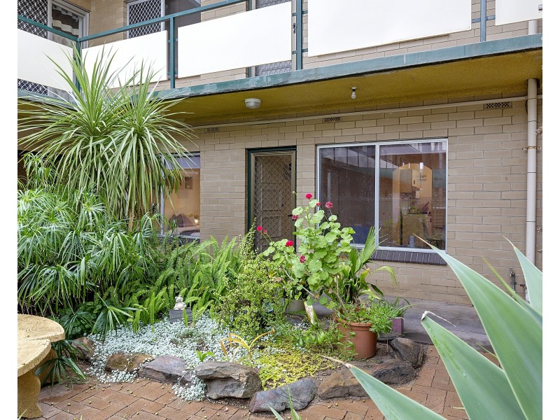 1/127 Anzac Highway, Kurralta Park SA 5037