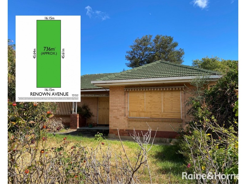 6 Renown Avenue, Clovelly Park SA 5042