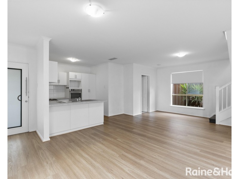 3/149 Anzac Highway, Kurralta Park SA 5037